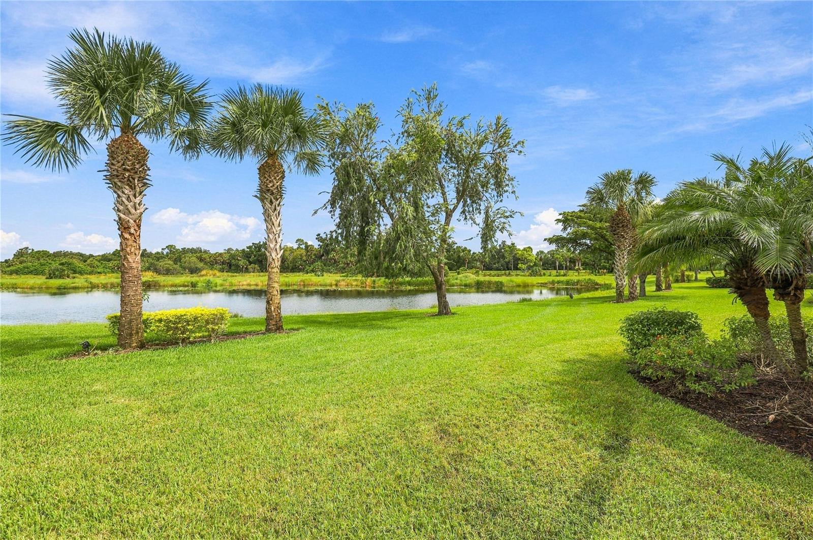 11170 Sandhill Preserve Dr Property Photo 4