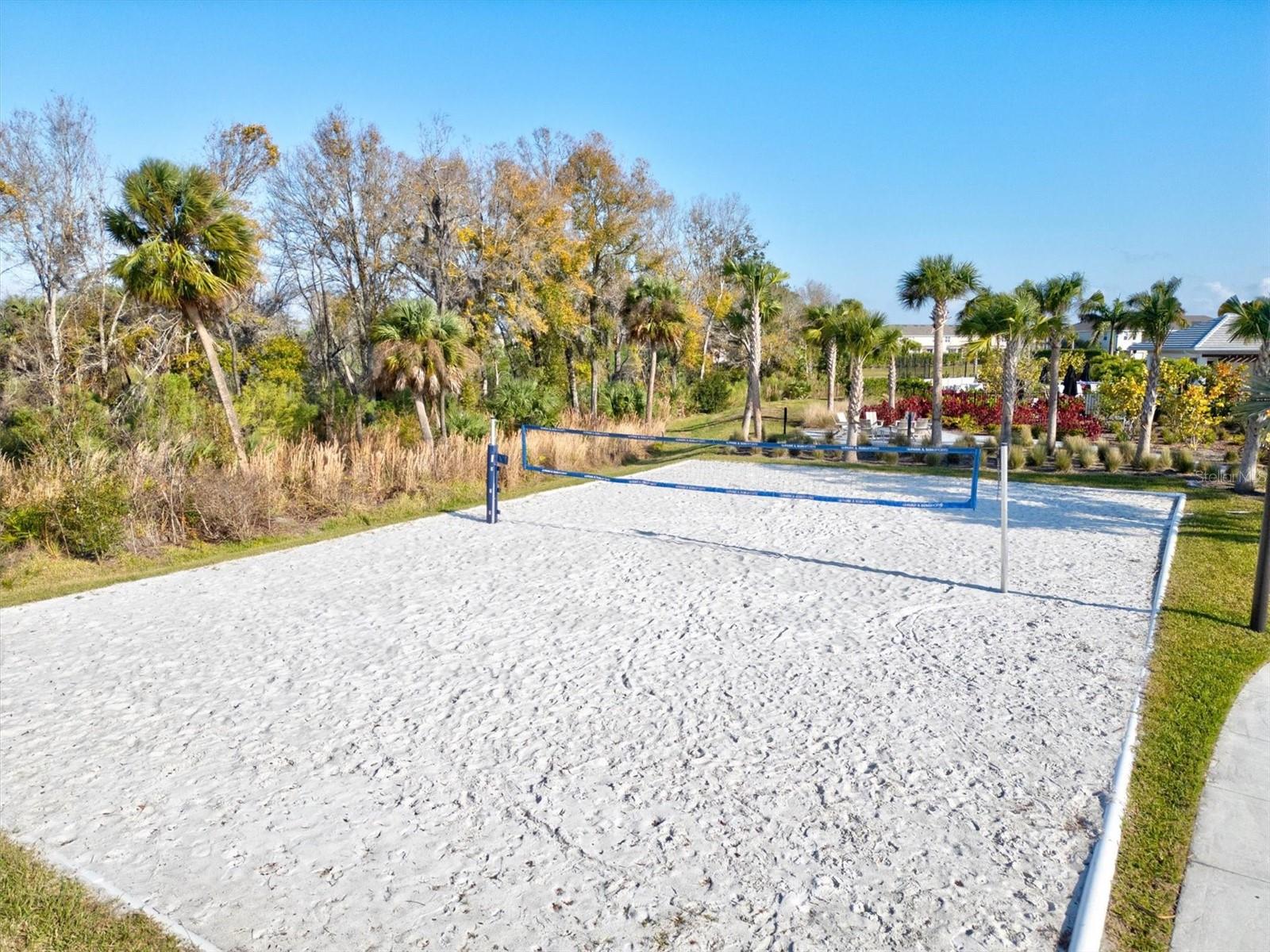 15233 Shady Palms Ln Property Photo 62