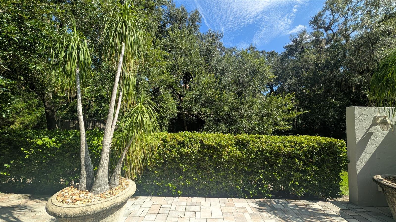 4615 Oak Forest Dr E #22 Property Photo 5