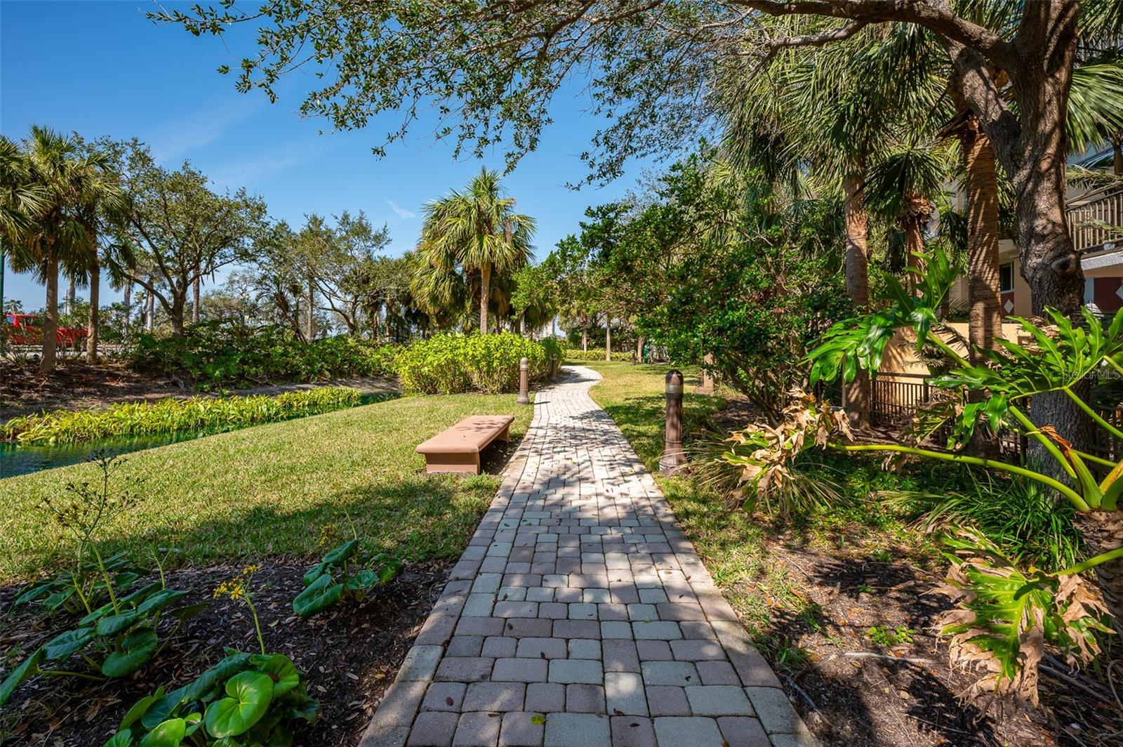 800 N Tamiami Trl #815 Property Photo 46