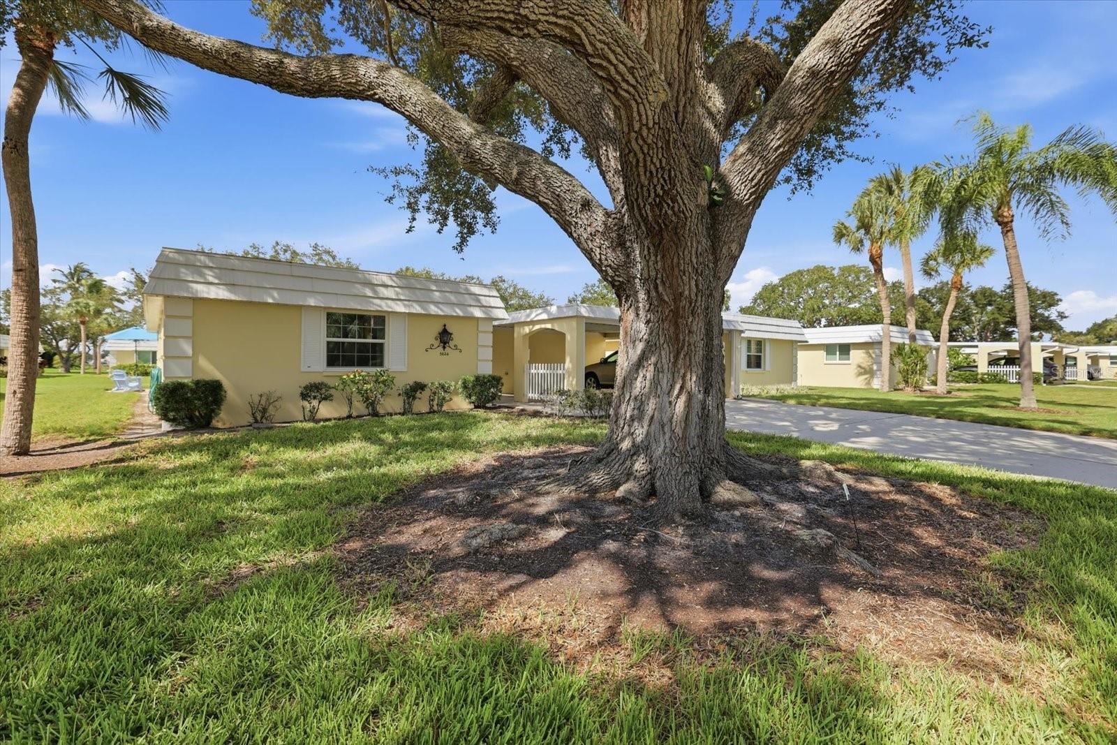 5826 Driftwood Pl Property Photo 1