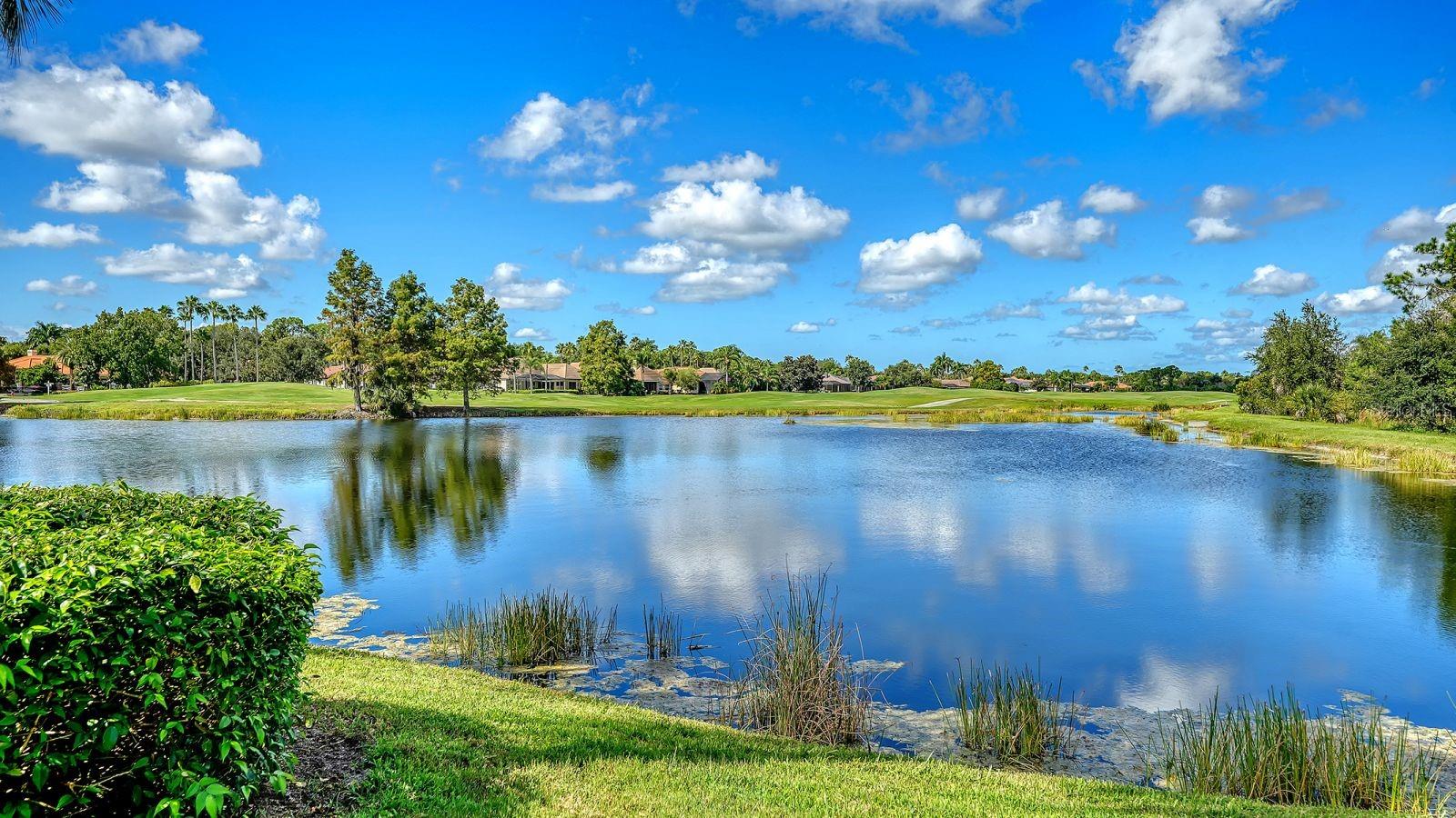 6734 Pebble Beach Way Property Photo 3