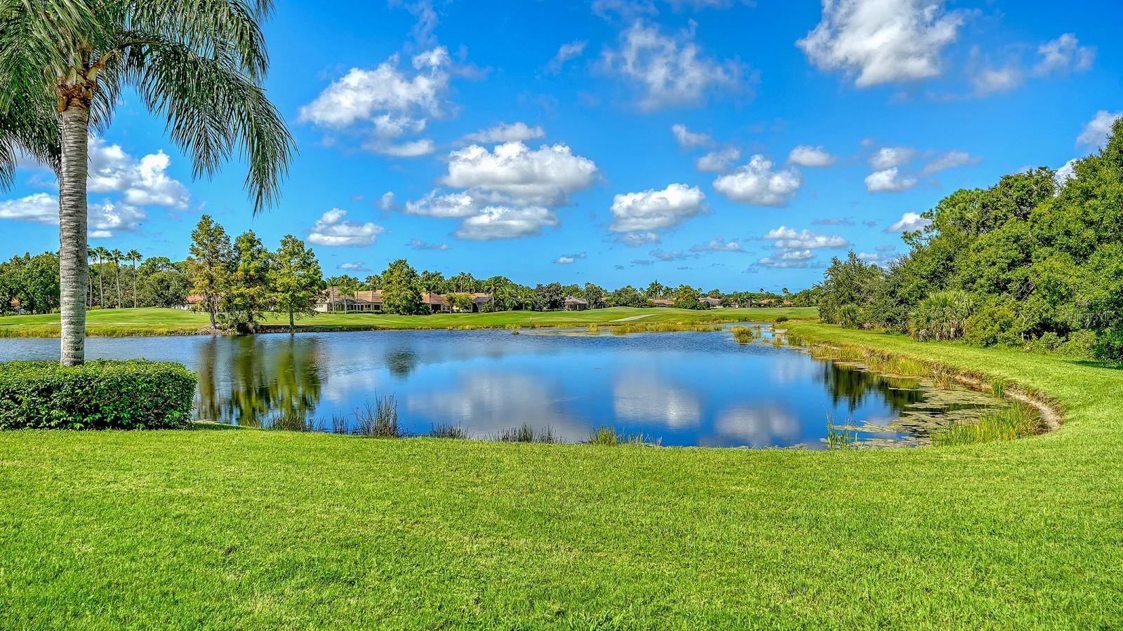 6734 Pebble Beach Way Property Photo 34