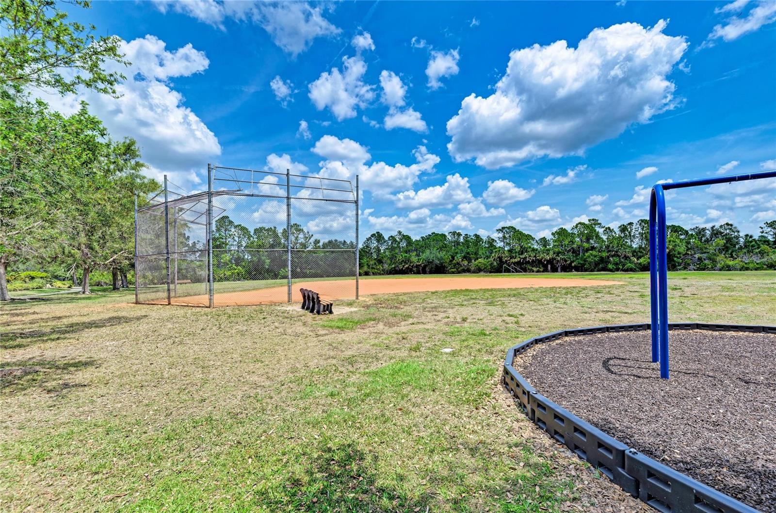 11794 Granite Woods Loop Property Photo 77
