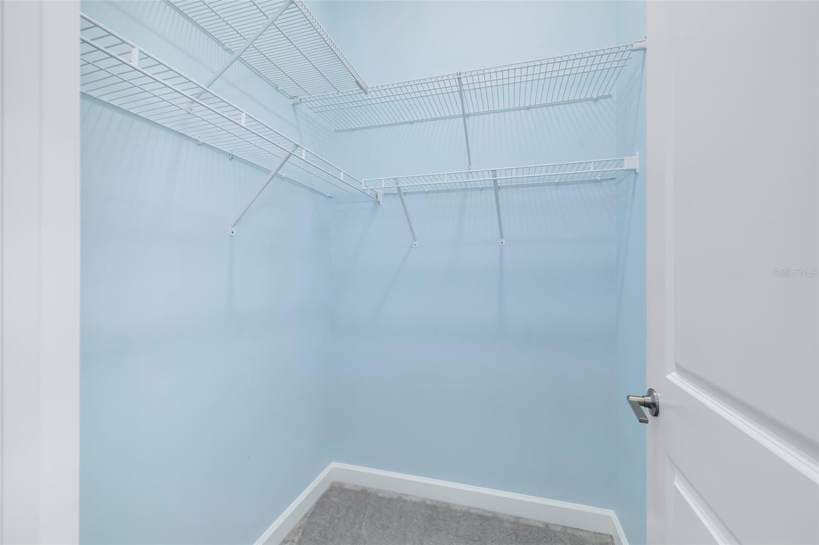 12338 Violet Jasper Dr Property Photo 43