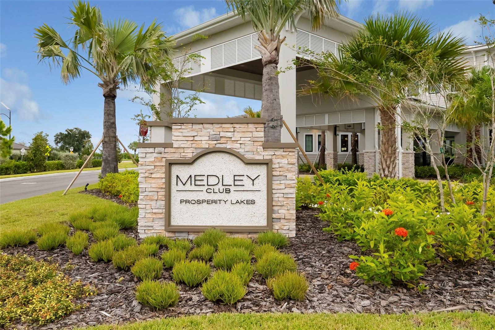 12338 Violet Jasper Dr Property Photo 67