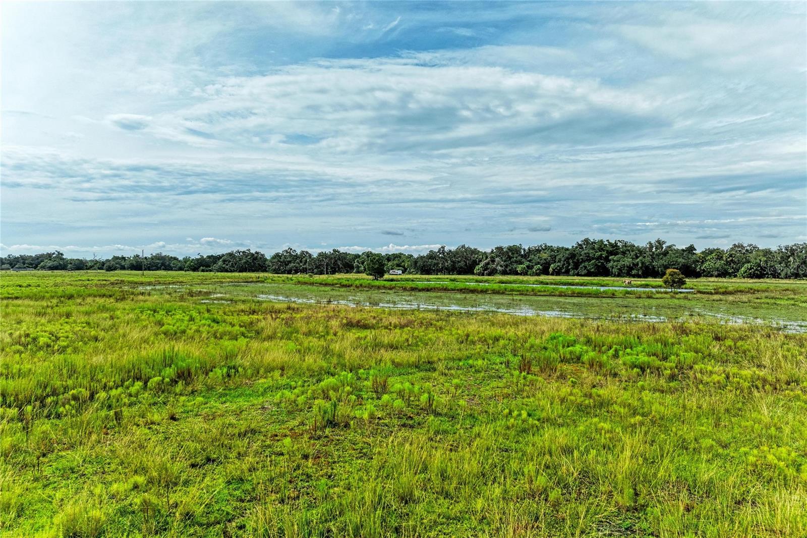 Coker Gully Rd Property Photo 3