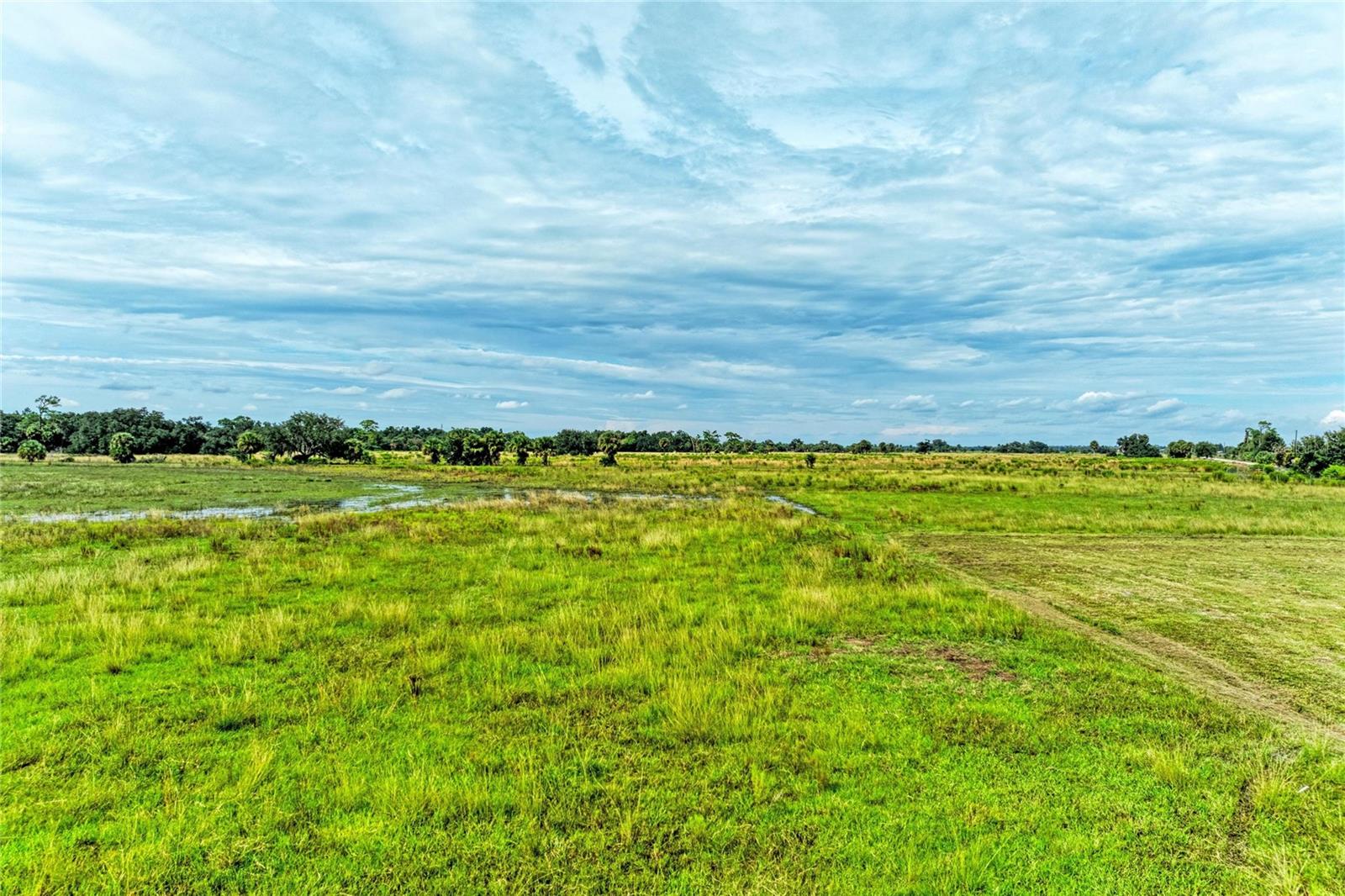 Coker Gully Rd Property Photo 28