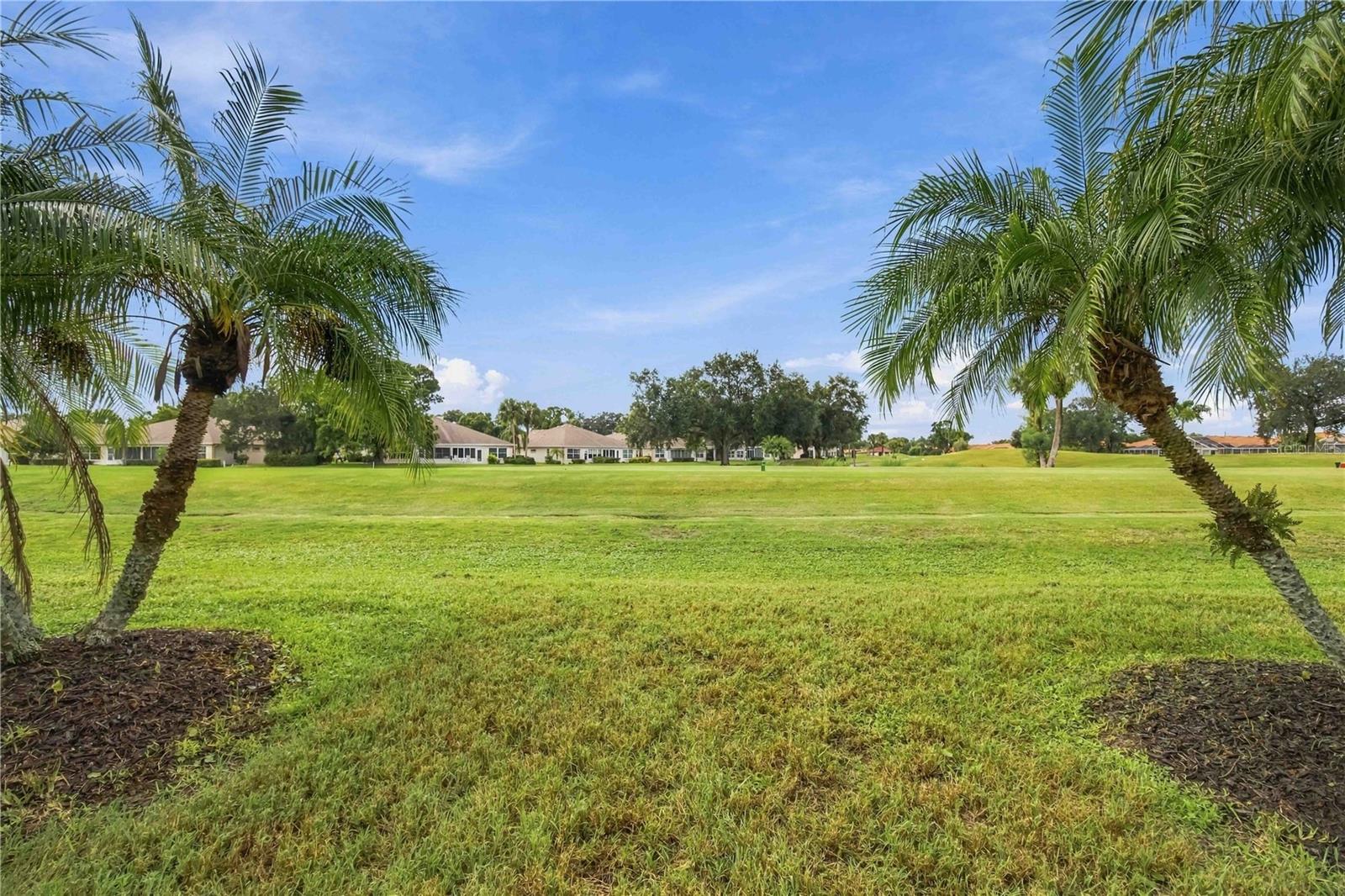4712 Peridia Blvd E Property Photo 34