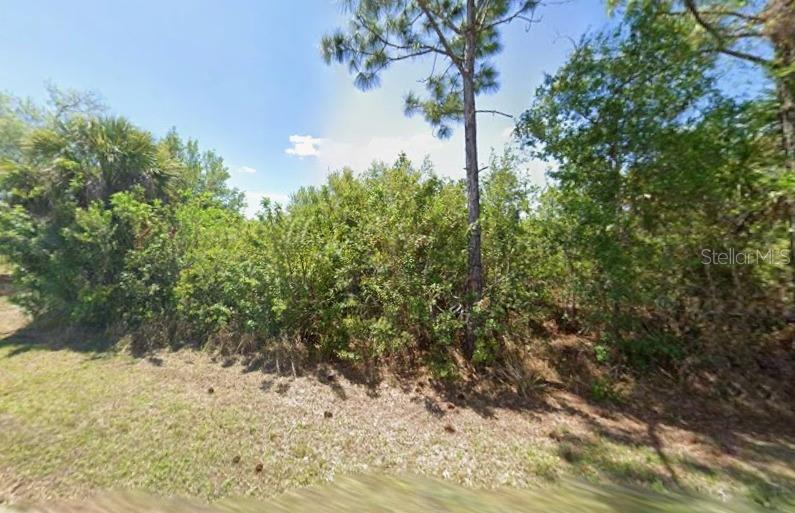 13243 Chiminiello Dr Property Photo 1
