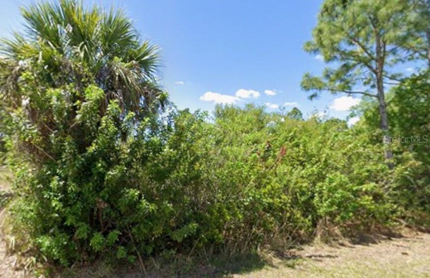 13243 Chiminiello Dr Property Photo 5