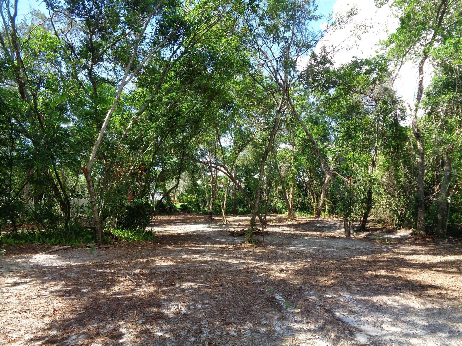 8007 Chaucer Dr Property Photo 3