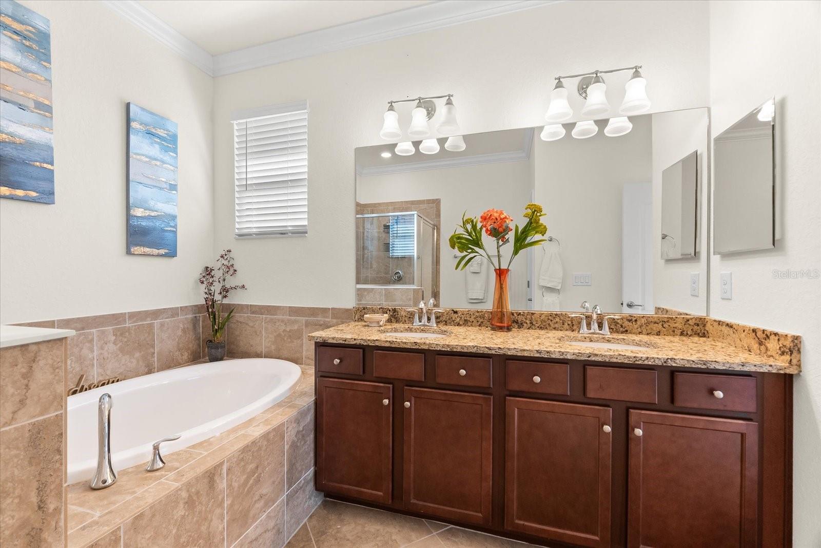 12501 Cinqueterre Dr Property Photo 19