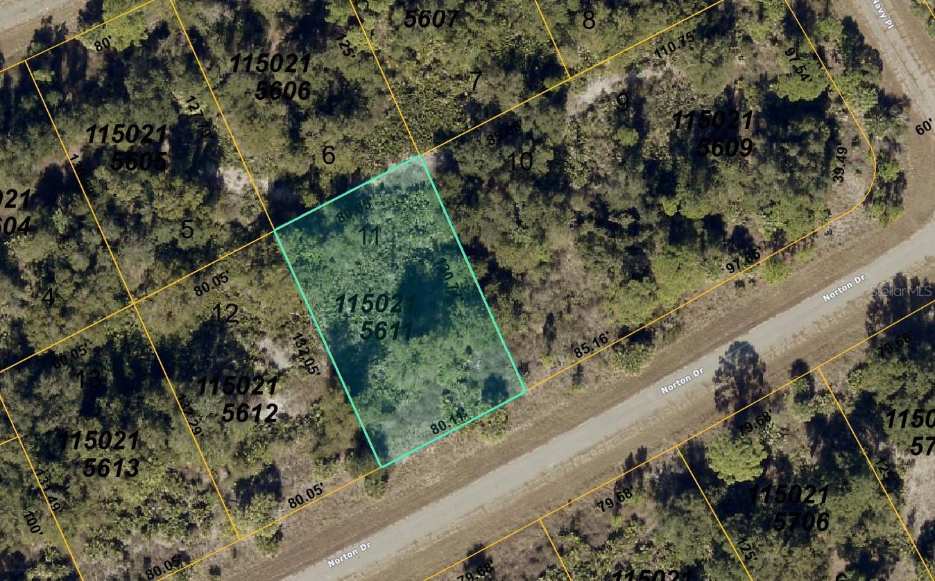 1150215611 NORTON DR Property Photo 1
