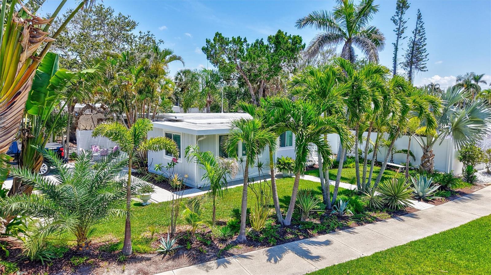 643 Calle Del Otono Property Photo 4
