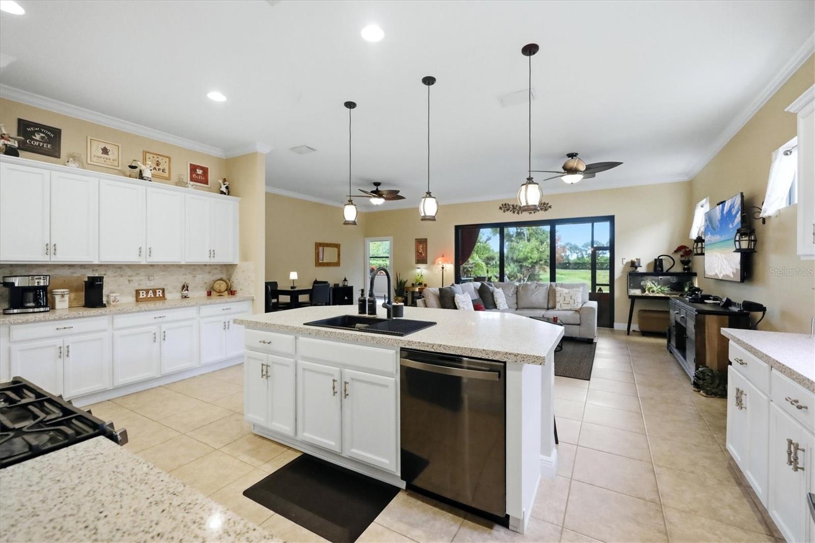 10035 Marbella Dr Property Photo 12