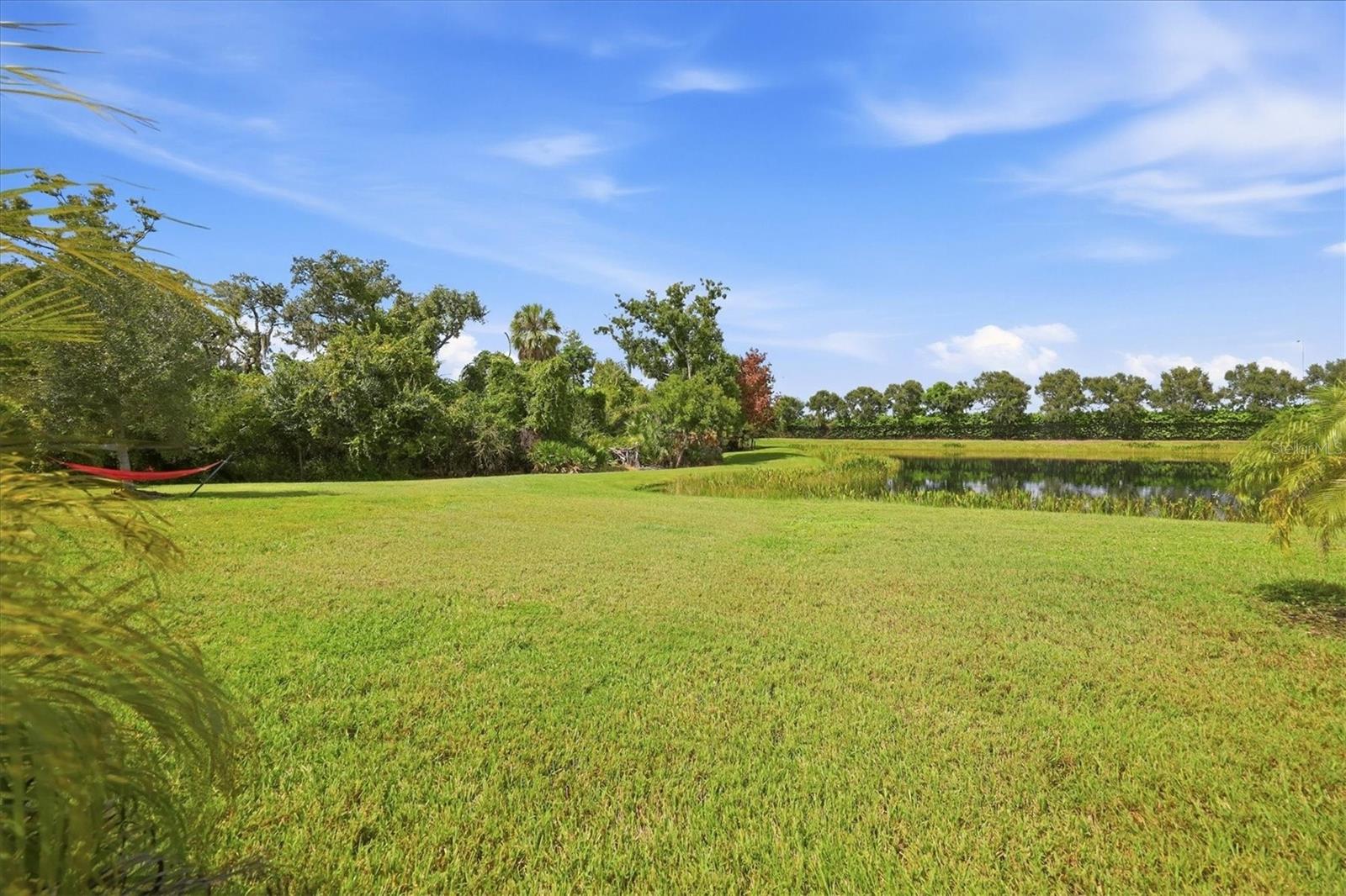 10035 Marbella Dr Property Photo 38
