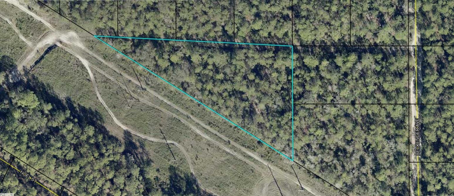 Eddie St Property Photo 1