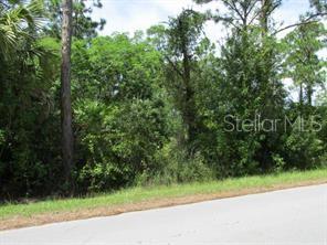 12431 Easha Blvd Property Photo 5