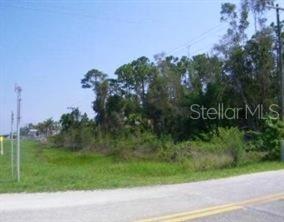 12431 Easha Blvd Property Photo 7