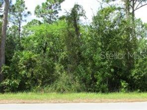 12431 Easha Blvd Property Photo 8