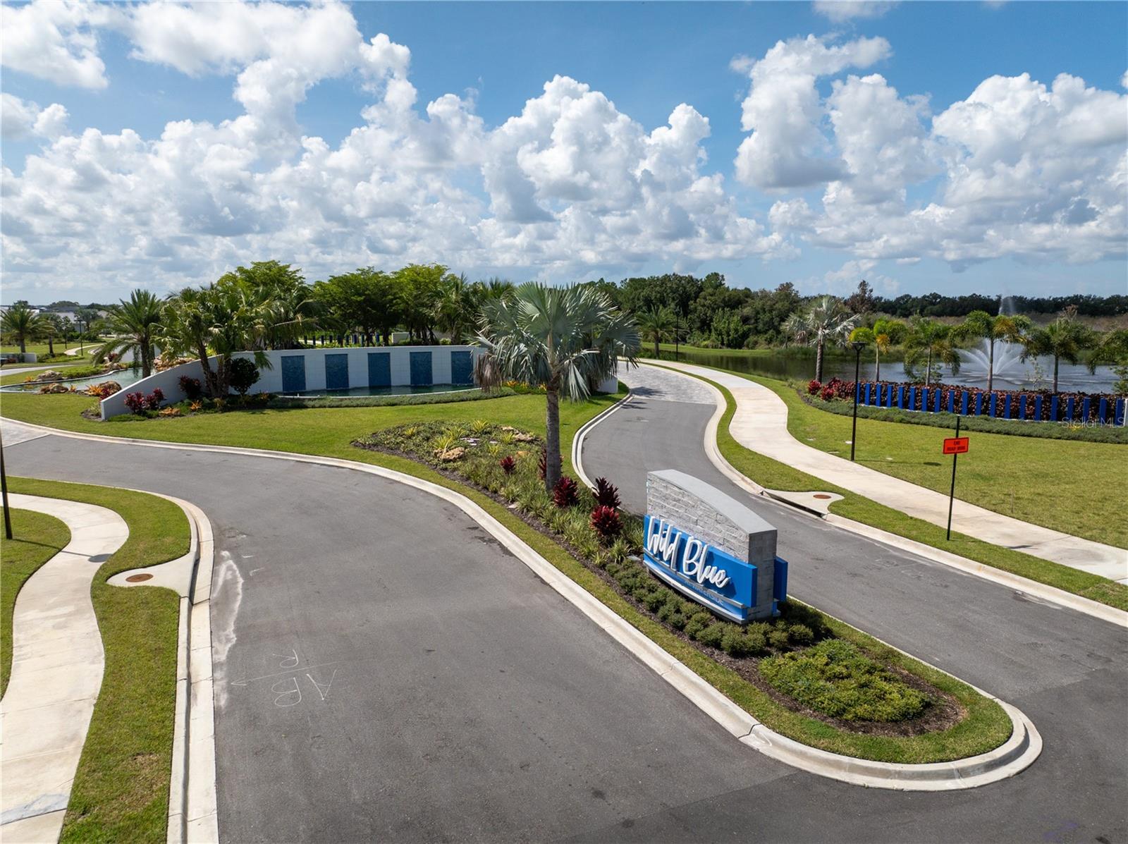 100 Blue Mist Way Property Photo 86
