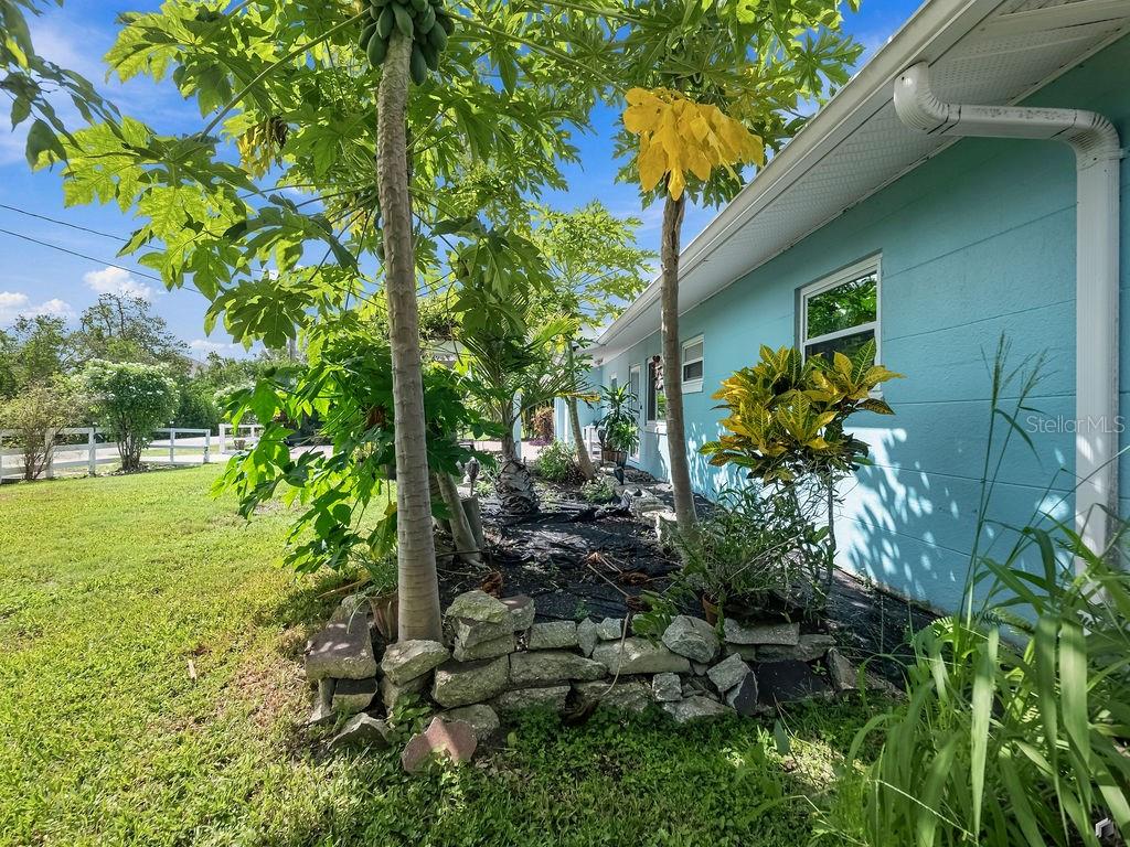 1831 Bayshore Dr Property Photo 49
