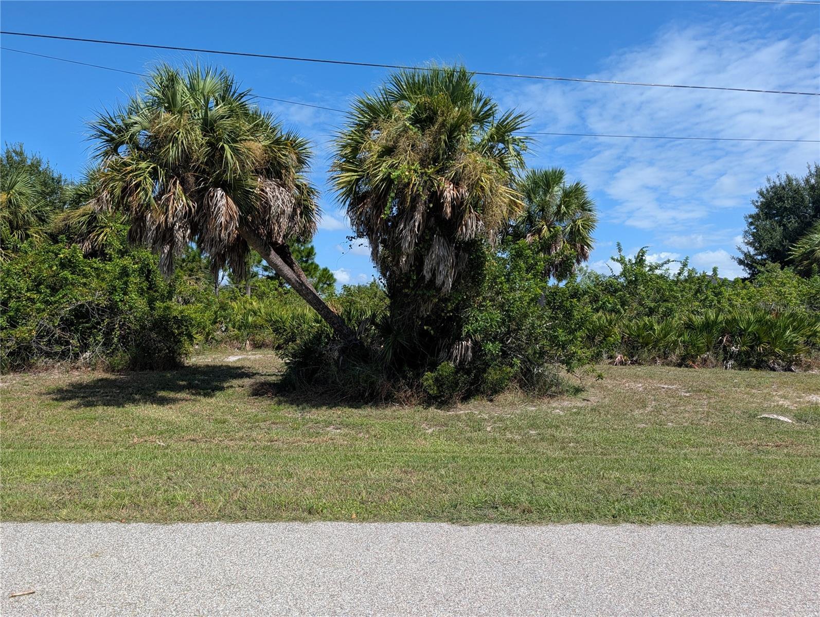 168 LIME TREE PARK Property Photo 1