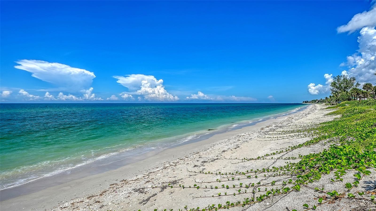 1604 Casey Key Rd Property Photo 57