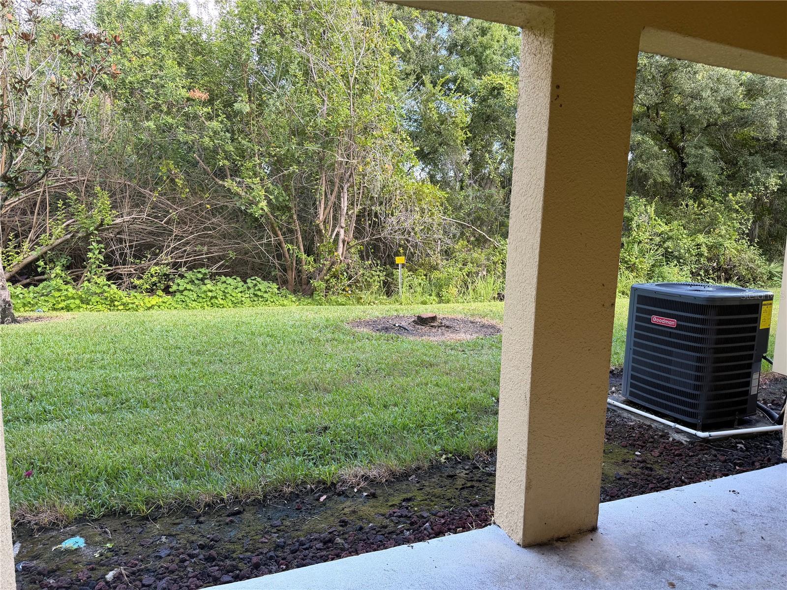 8909 White Sage Loop Property Photo 14