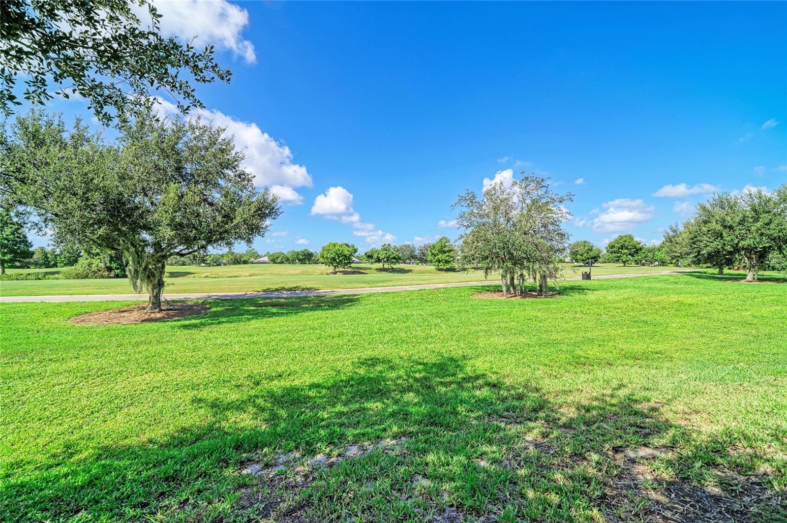 14716 Castle Park Ter Property Photo 39