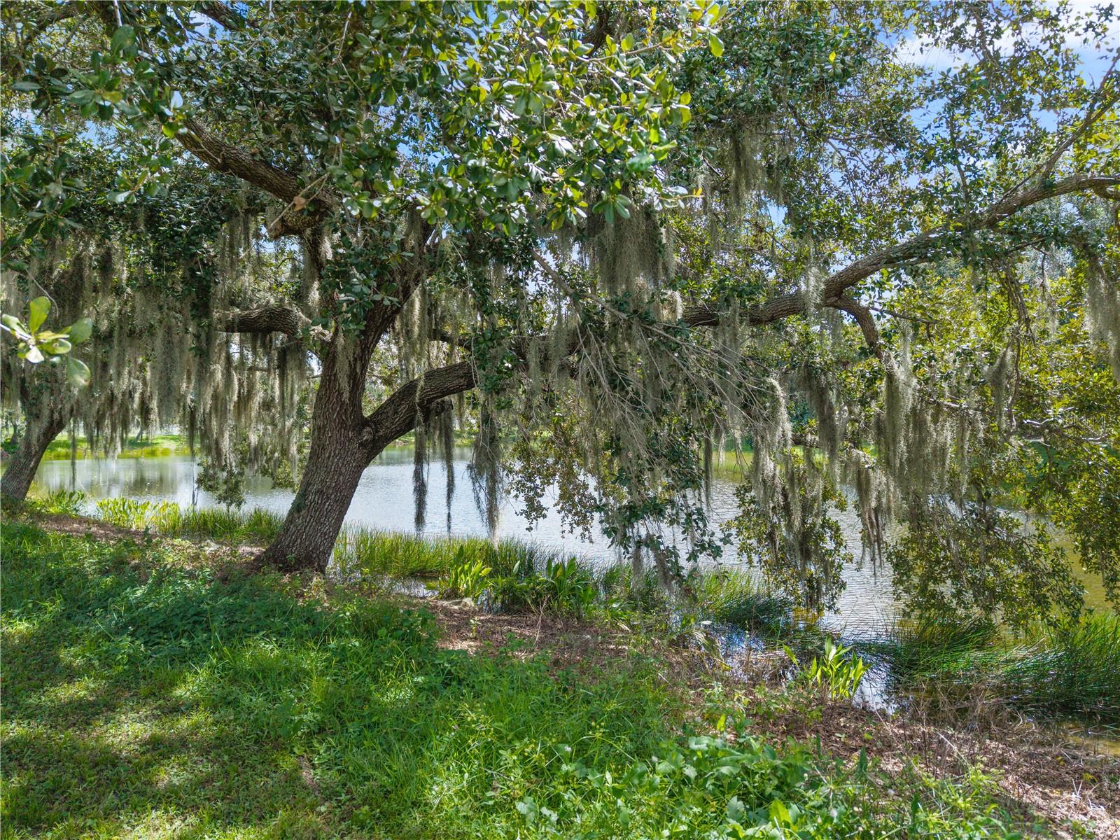 4008 Kingsfield Dr Property Photo 47