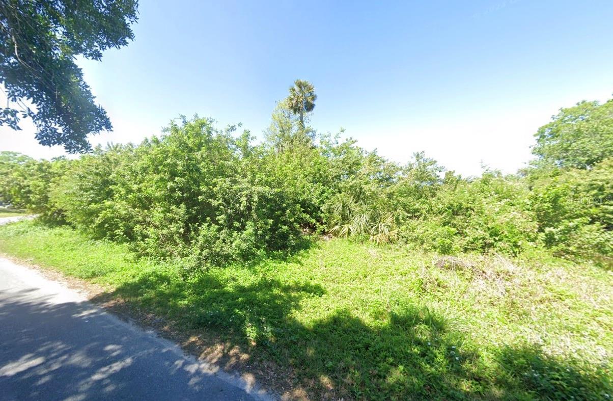 4545 Needle Palm Dr Property Photo 2