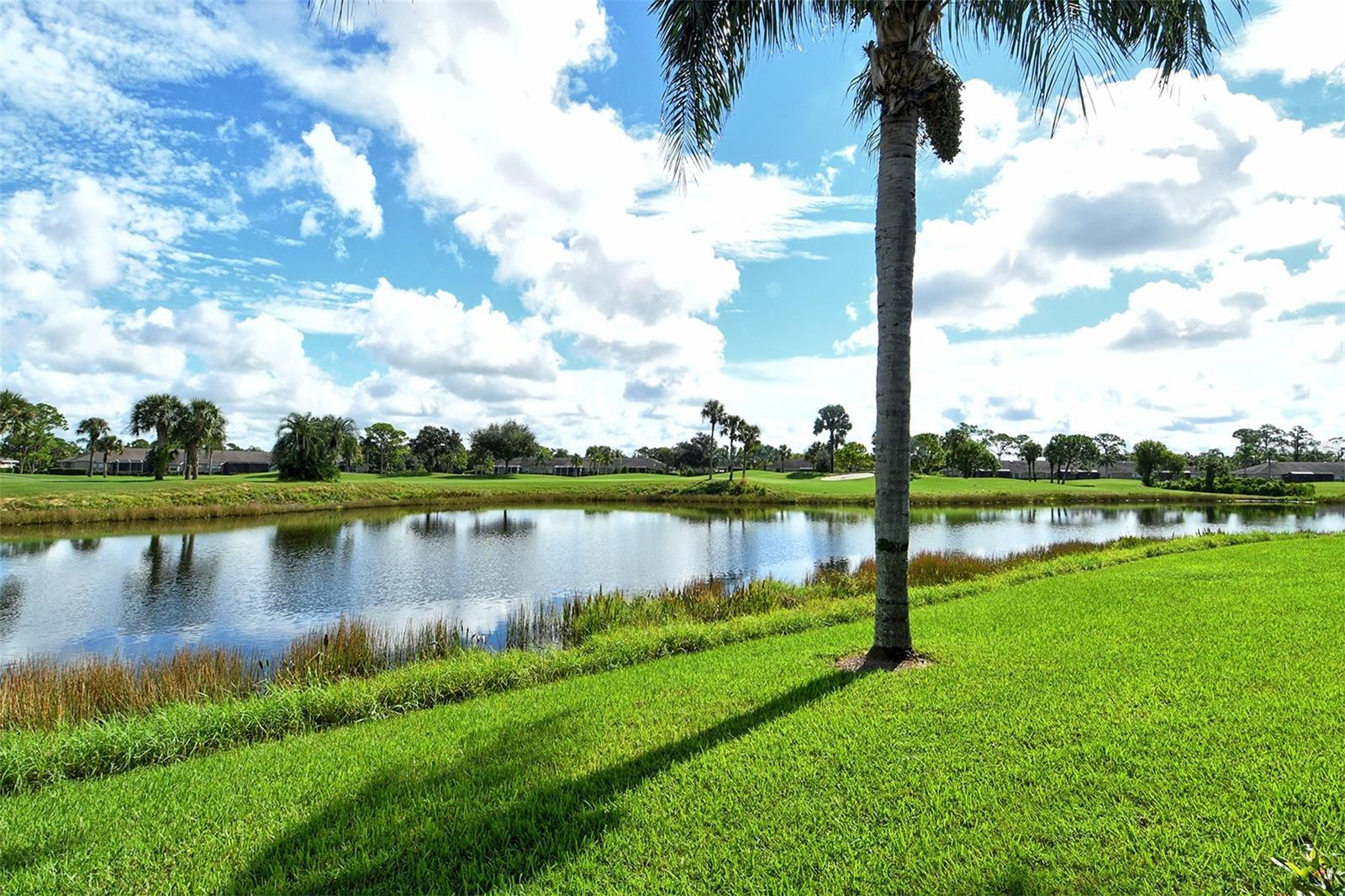 4951 Chase Oaks Dr Property Photo 49