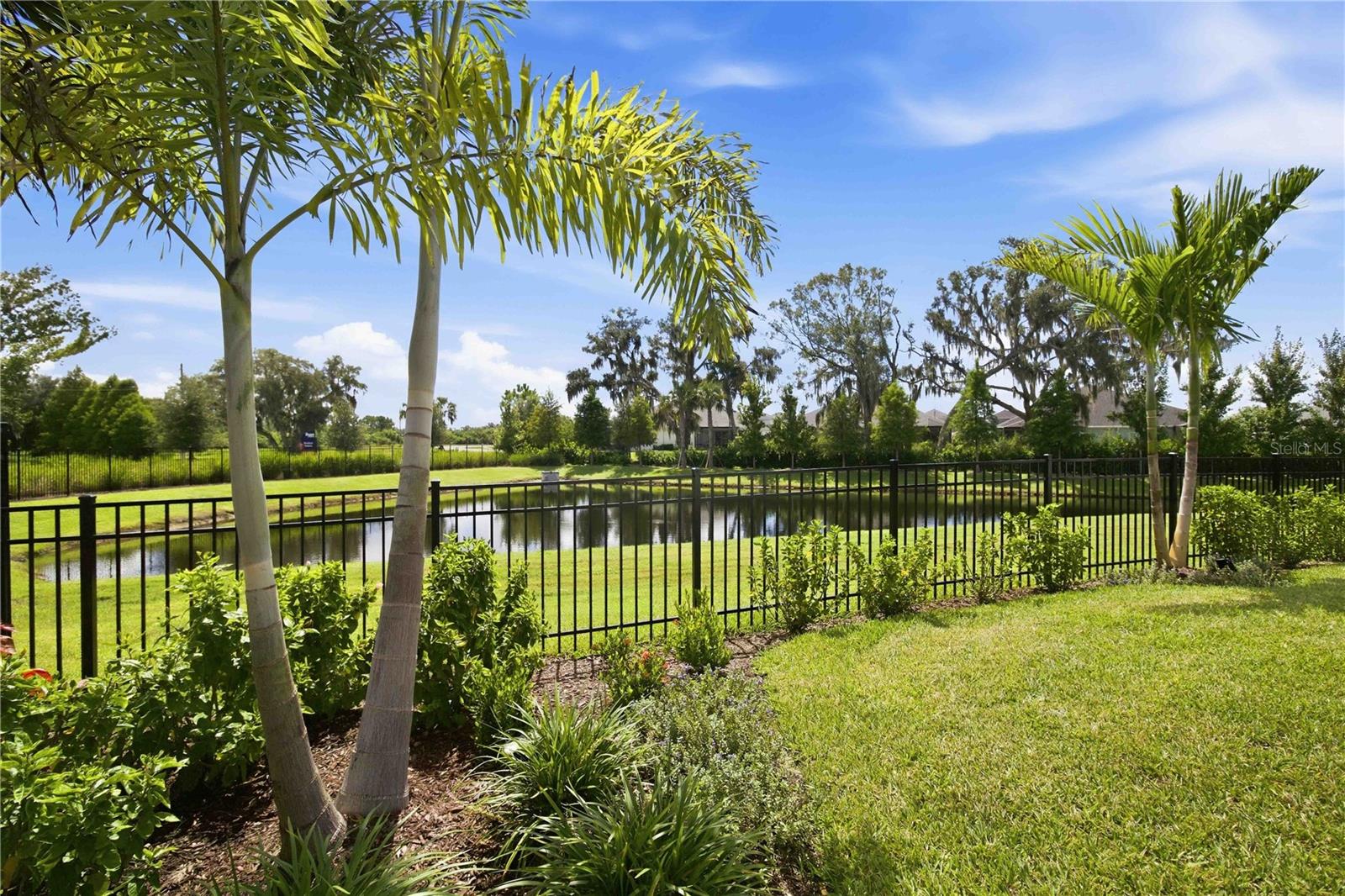 14449 Hammock Oak St Property Photo 49