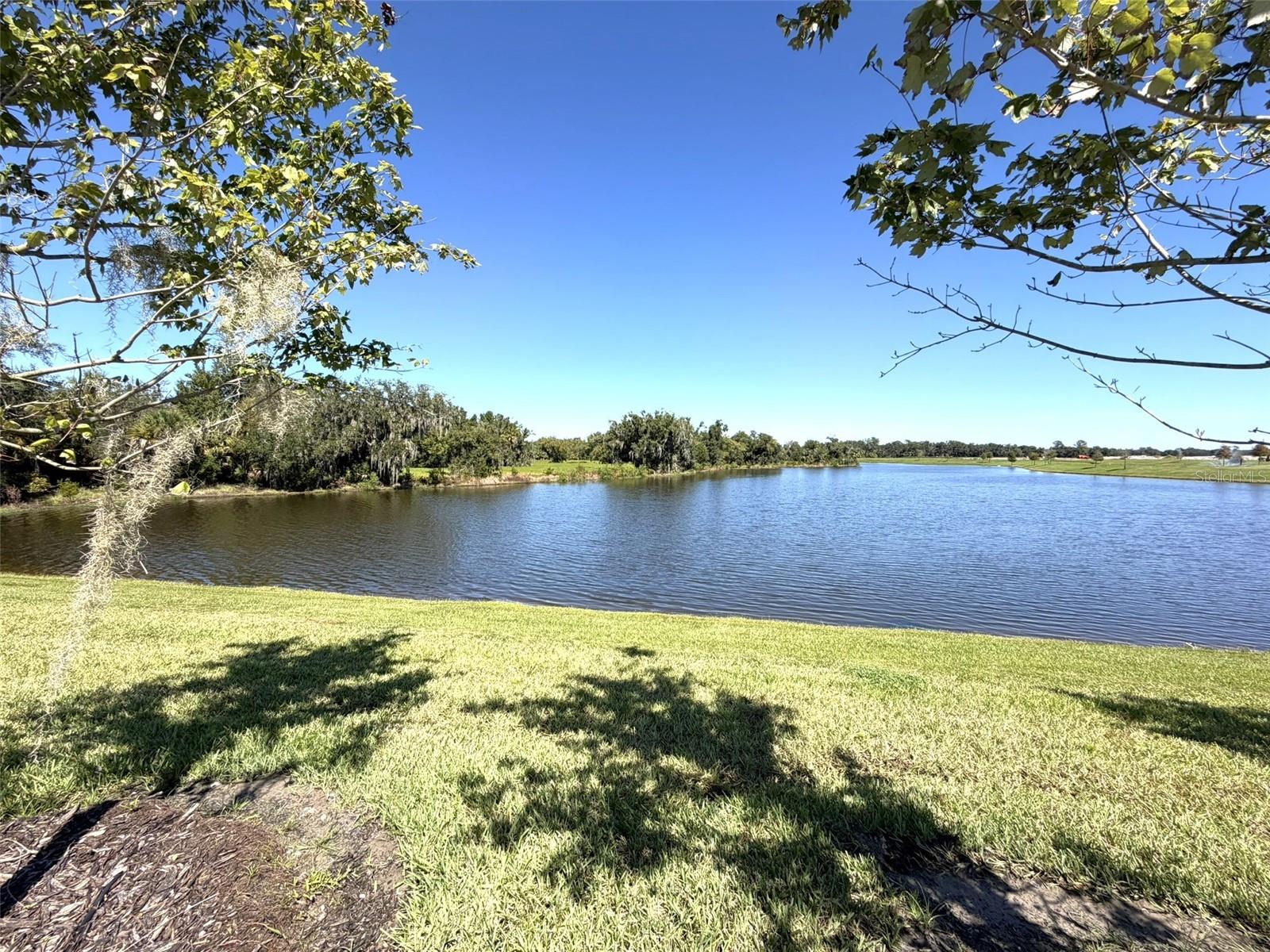 14449 Hammock Oak St Property Photo 57