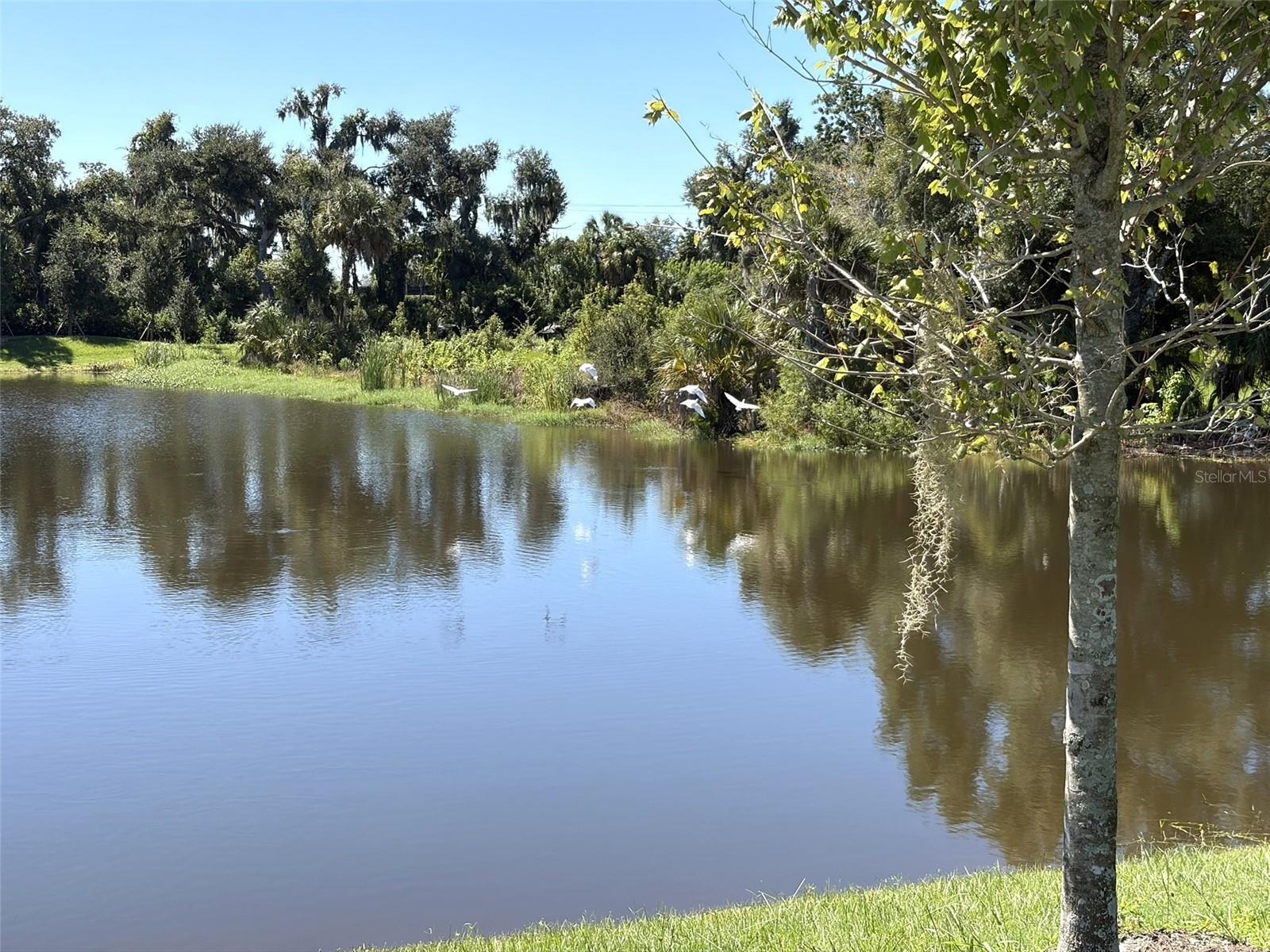 14449 Hammock Oak St Property Photo 58