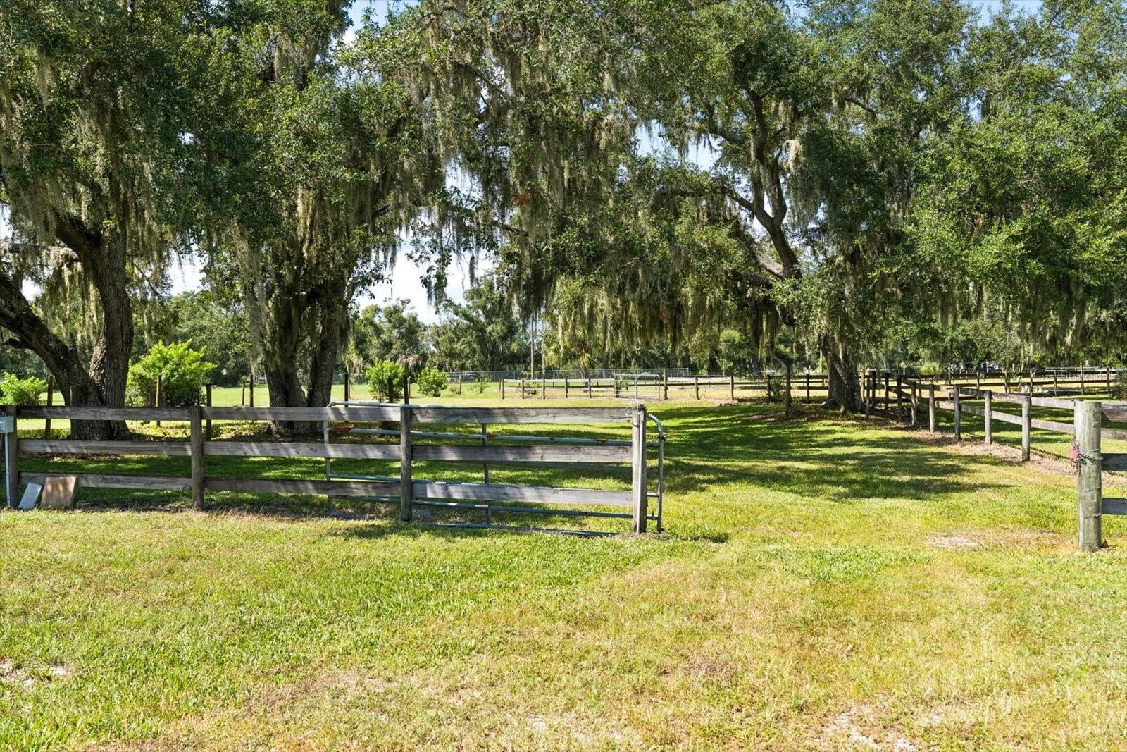 5640 Howard Creek Rd Property Photo 57