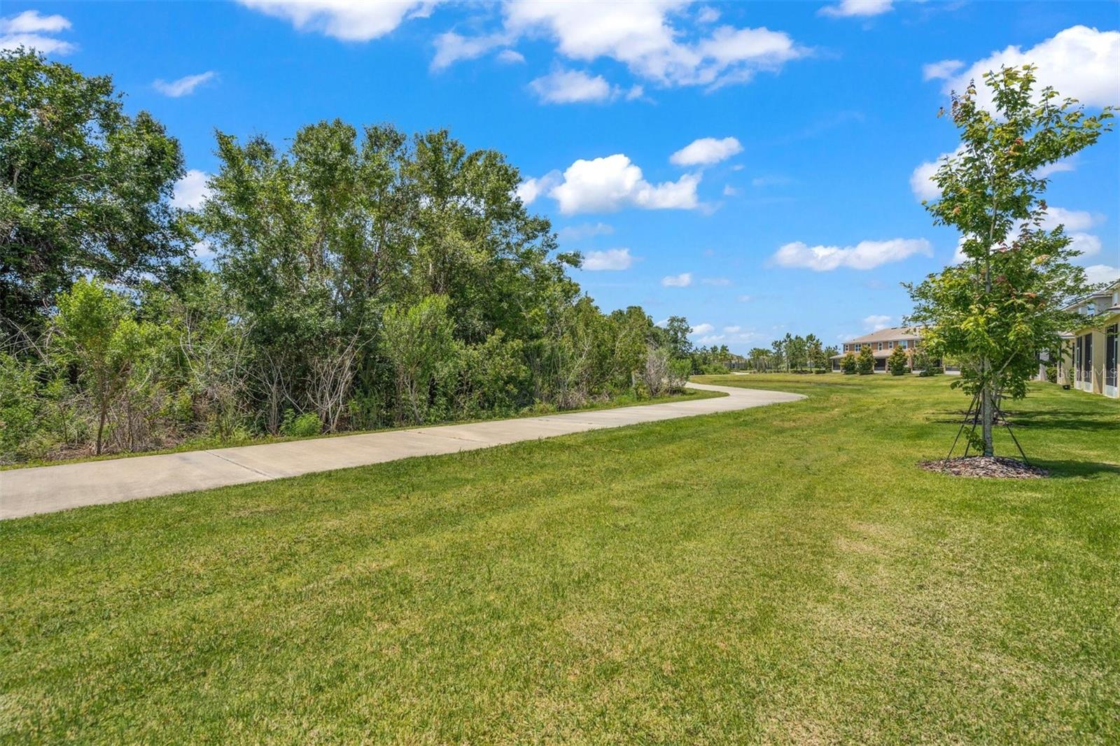 12129 Trailhead Dr Property Photo 38