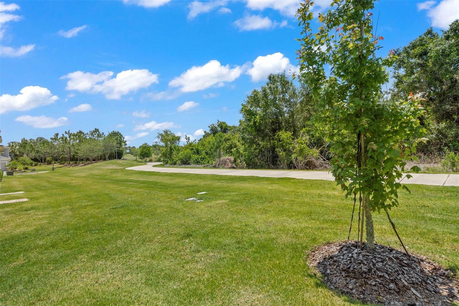 12129 Trailhead Dr Property Photo 39