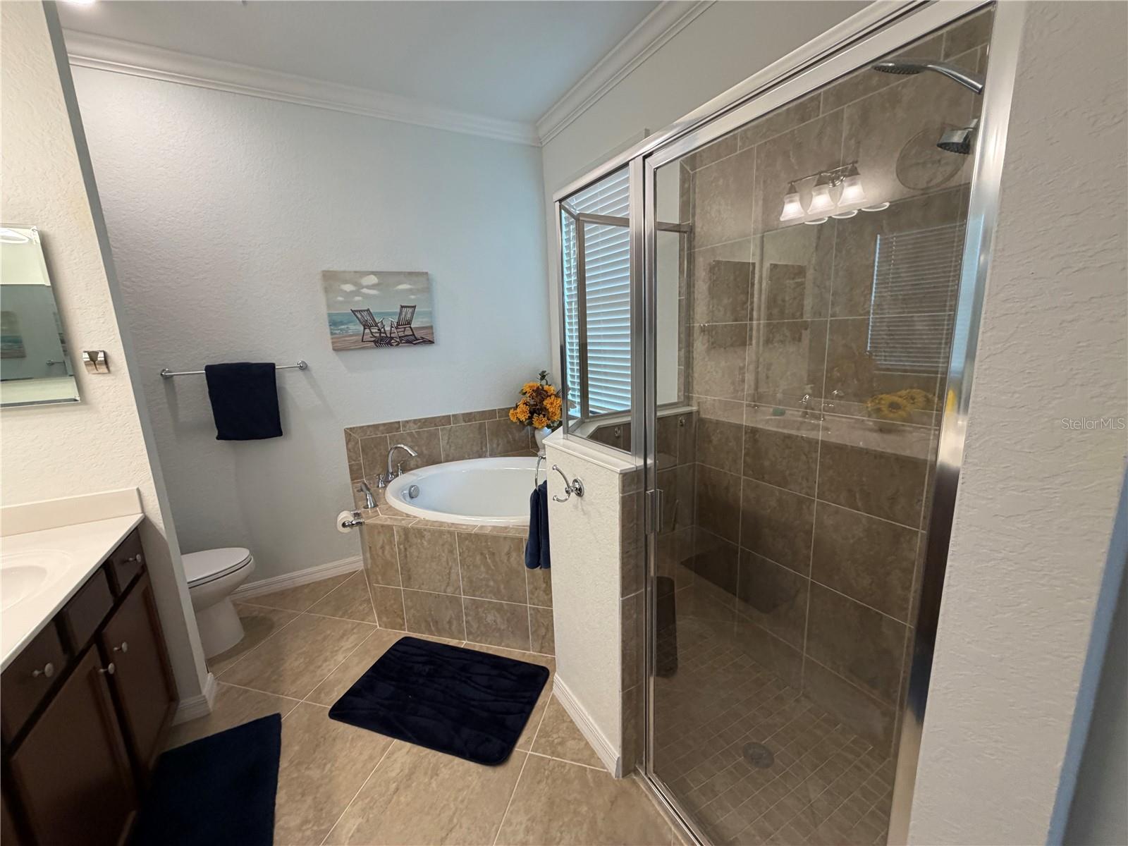 12320 Amica Loop Property Photo 23