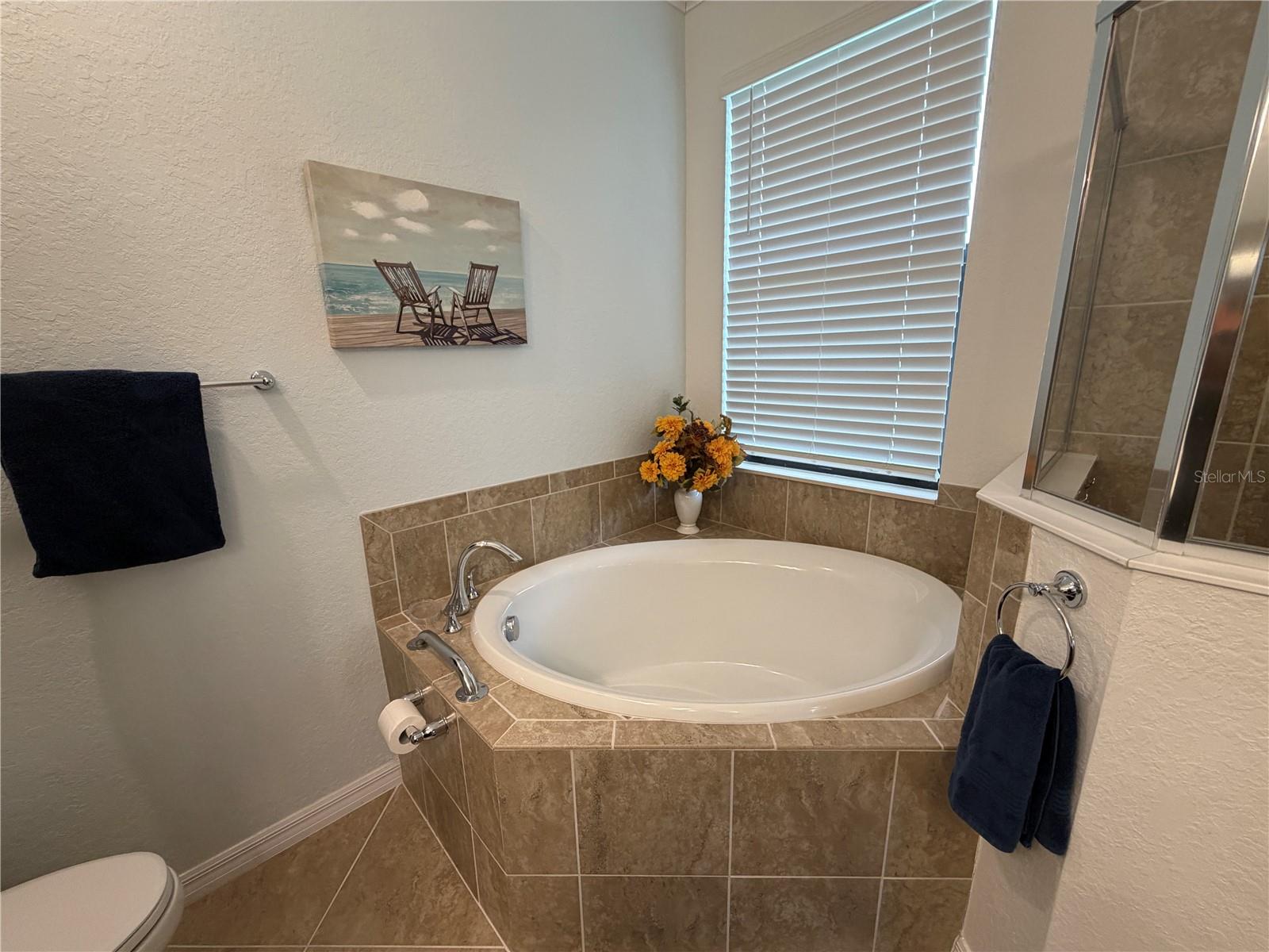 12320 Amica Loop Property Photo 24