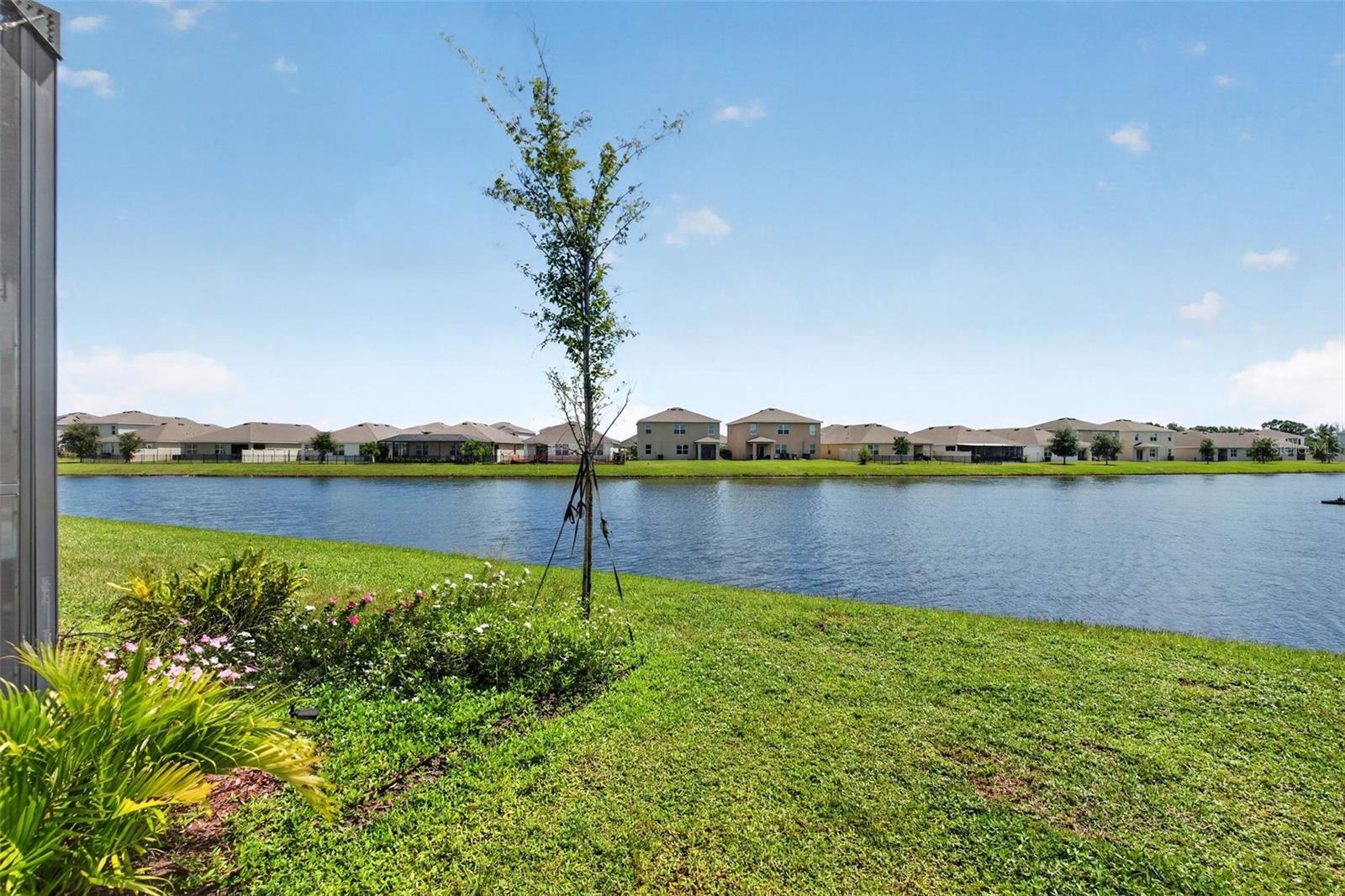 17206 Reserva Dr Property Photo 56
