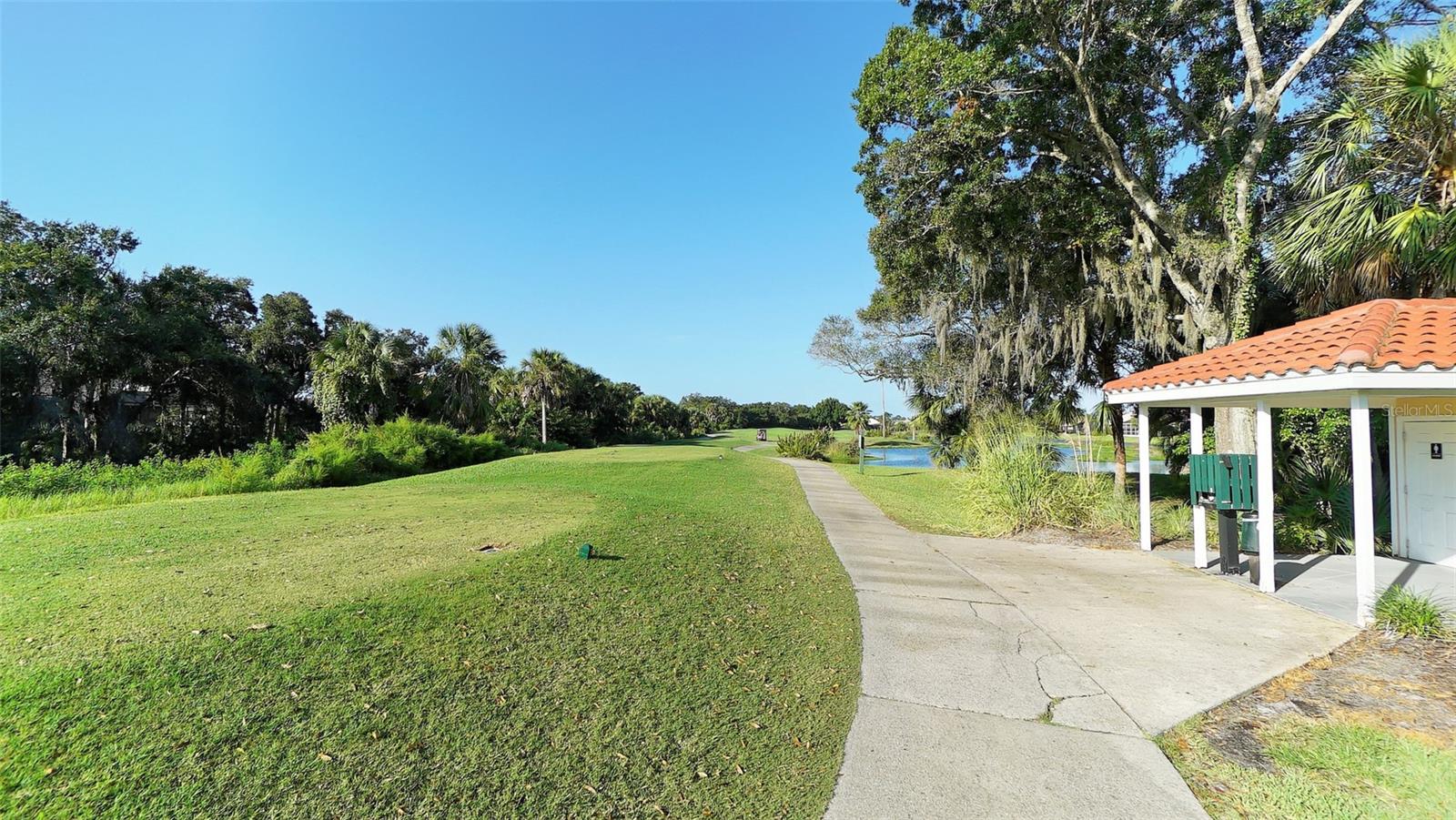 661 Misty Pine Dr Property Photo 65