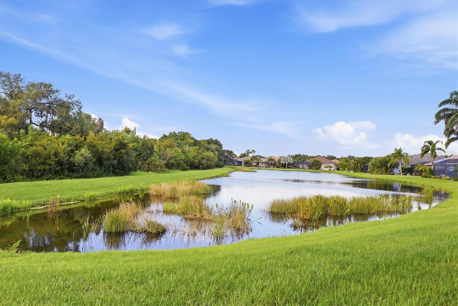 640 Honeyflower Loop Property Photo 41