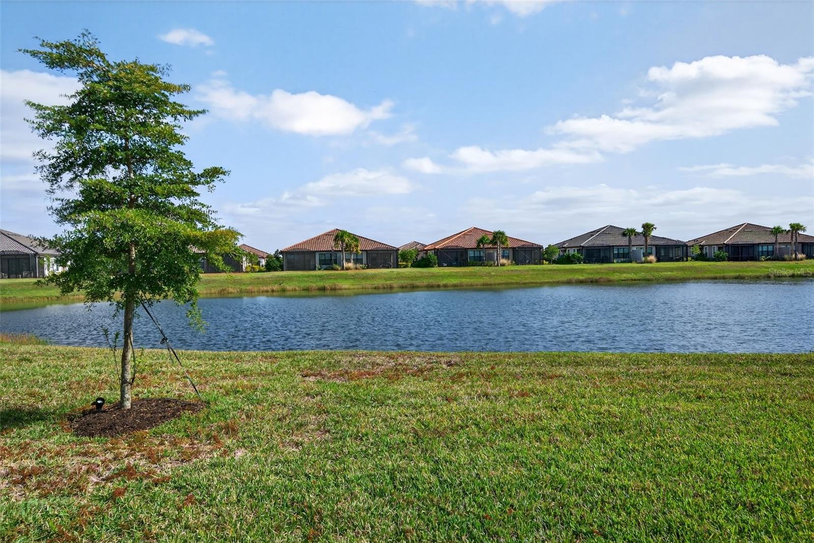 3021 Veneto Ct Property Photo 49