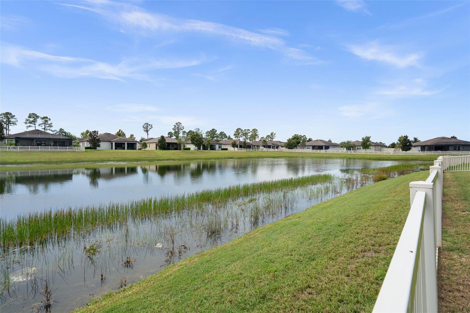 18730 Cortes Creek Blvd Property Photo 45