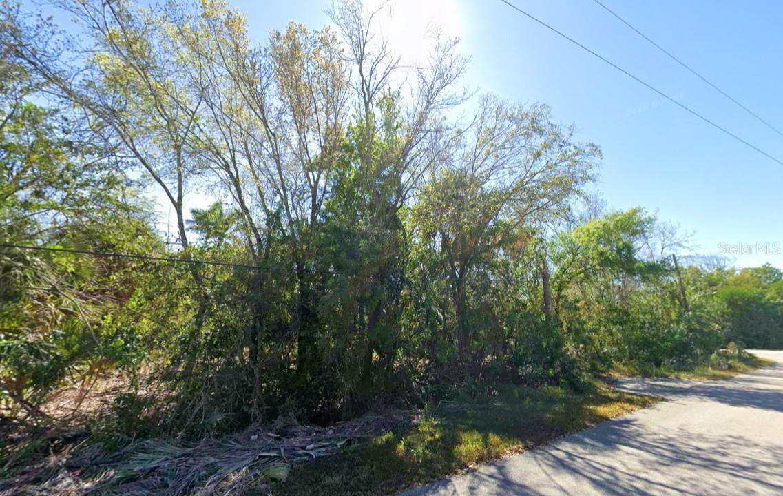 202 Charlotte St Property Photo 4