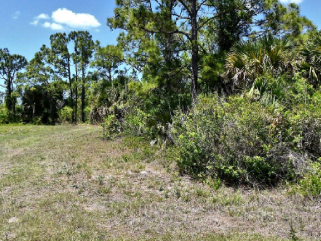 NEWMAN DR Property Photo 1