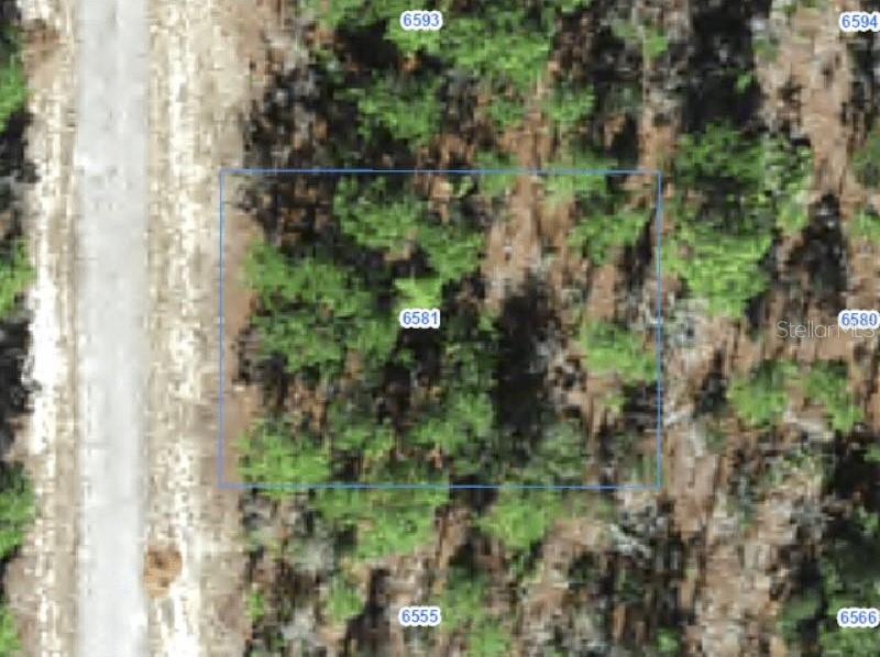 6581 N WINLOCK TER Property Photo 1